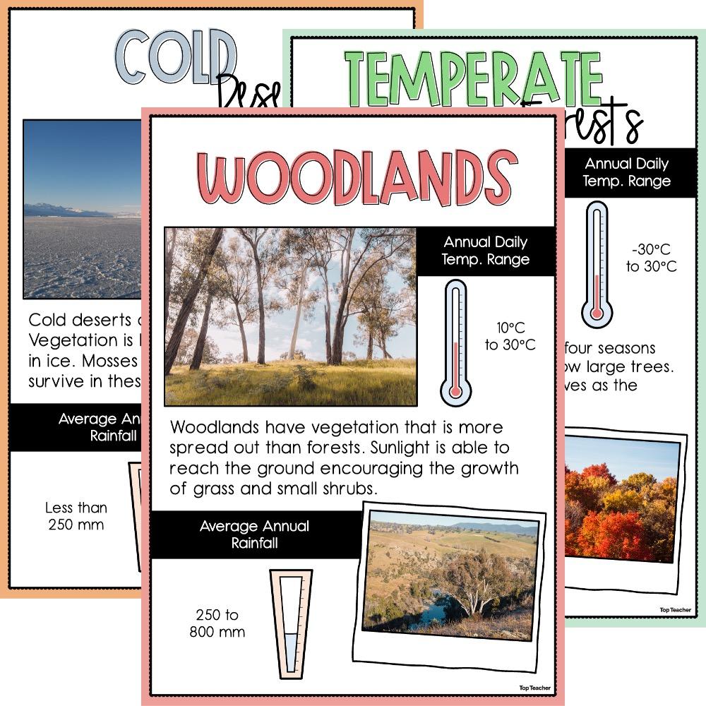 Biome Information Posters - Top Teacher