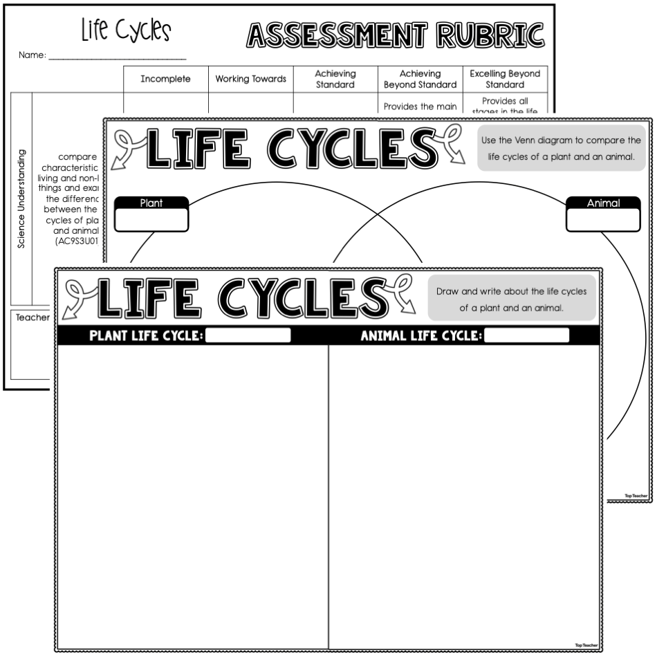 Life Cycles Assessment Top Teacher